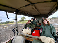Safari Girls