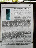 Family Tree Info
