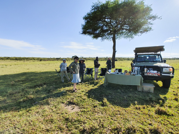 Wildebreakfast