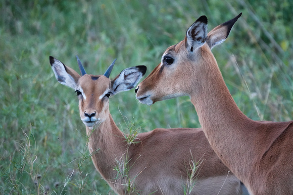 Mom and Son