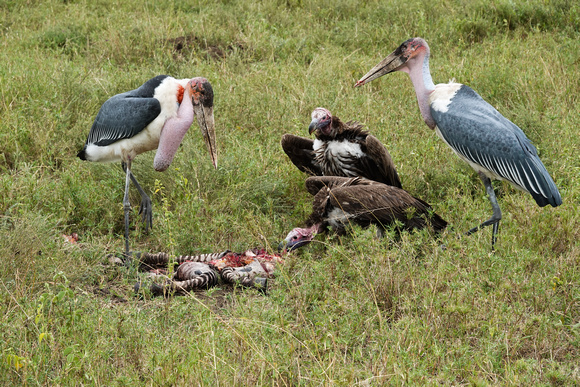 Lunchtime